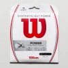 Tennis Accessories Wilson Synthetic Gut Power 17