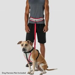 Nathan K9 Series Runner's Waistbelt With Leash